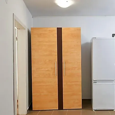 Koral 2*