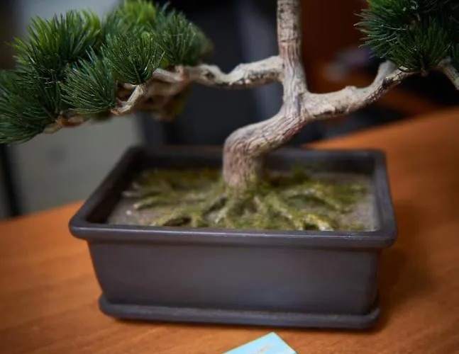 Koral Ξενοδοχείο 2*